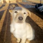 Pablo_IMG_20260219_085049