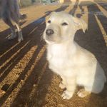 Pablo_IMG_20260219_085125