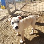 Pablo_IMG_20260221_121531