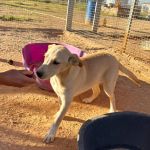 Paco_2026-05-28 at 10-17-18