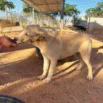 Paco_2026-05-28 at 10-17-19