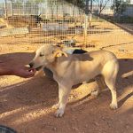 Paco_2026-05-28 at 10-17-20