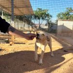 Paco_2026-05-28 at 10-17-23