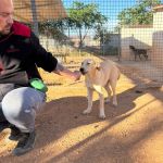 Paco_2026-05-28 at 10-17-24