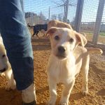 Paco_IMG_20260219_085253