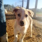 Paco_IMG_20260219_085254