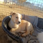 Paco_IMG_20260219_085322