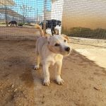 Paco_IMG_20260221_120759