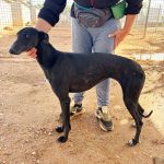 Paloma_IMG_1317