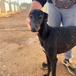 Paloma_IMG_1319