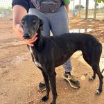 Paloma_IMG_1320
