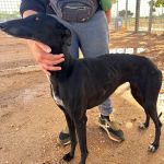 Paloma_IMG_1321