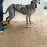 Paula_IMG_2664