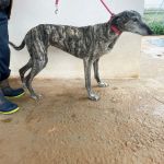 Paula_IMG_2666