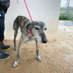 Paula_IMG_2669