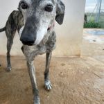 Paula_IMG_2670