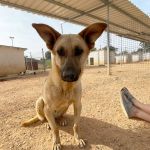 Paulina_ 2025-10-08 at 10-33-41