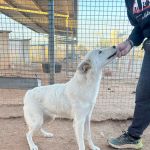 Peaches_IMG_2569