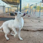 Peaches_IMG_2574