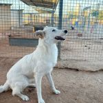 Peaches_IMG_2575