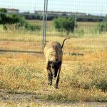 pippa_IMG_6497