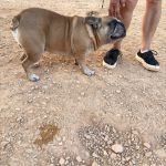 Pisot_IMG_0113