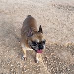 Pisot_IMG_0126