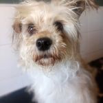 Polly_IMG-20260522-WA0007