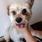 Polly_IMG-20260522-WA0030