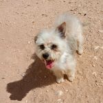 Polly_IMG-20260522-WA0044