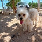 Polly_IMG-20260522-WA0046