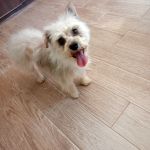 Polly_IMG-20260522-WA0050