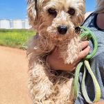 Polly_IMG_20260426_133523