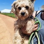 Polly_IMG_20260426_133527