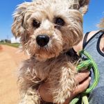 Polly_IMG_20260426_133531