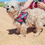 Polly_IMG_20260426_133755