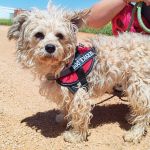 Polly_IMG_20260426_133807