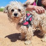 Polly_IMG_20260426_133810