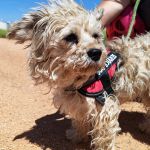 Polly_IMG_20260426_133811
