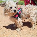 Polly_IMG_20260426_133823