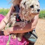 Polly_IMG_20260426_133853