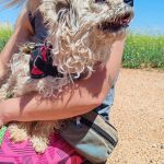 Polly_IMG_20260426_133855