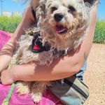 Polly_IMG_20260426_133856