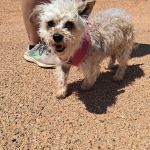 Polly_IMG_20260531_123102