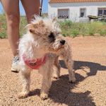 Polly_IMG_20260531_123110