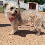 Polly_IMG_20260531_123128