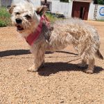 Polly_IMG_20260531_123128_1
