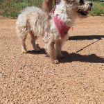 Polly_IMG_20260531_123157_1