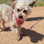 Polly_IMG_20260531_123211