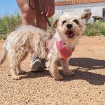 Polly_IMG_20260531_123224_1